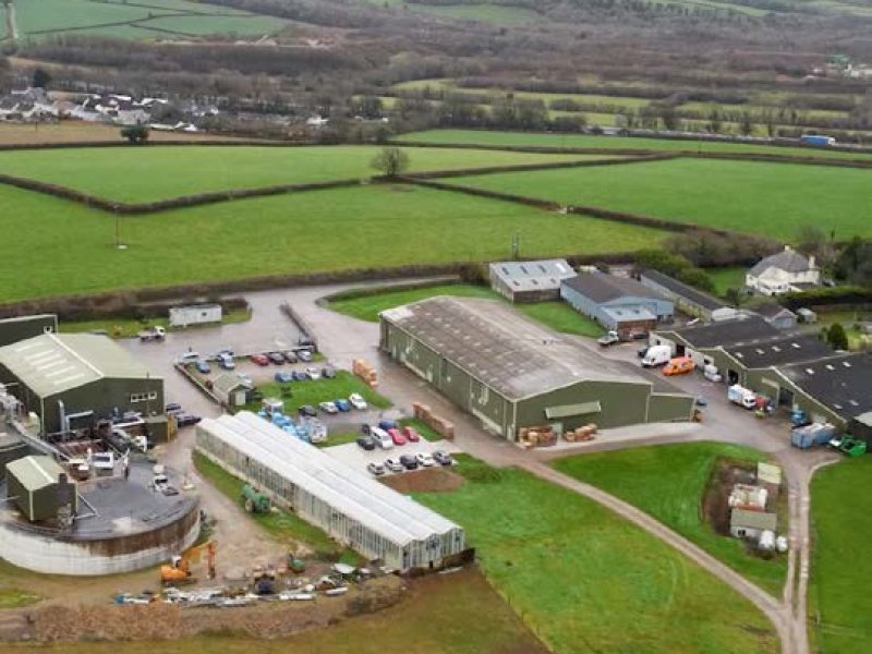 Langage Farm AD plant